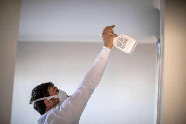 Best Residential Mold Remediation in Medulla, FL